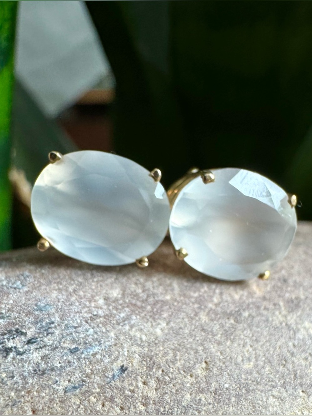 10k Dendritic Chalcedony Earrings